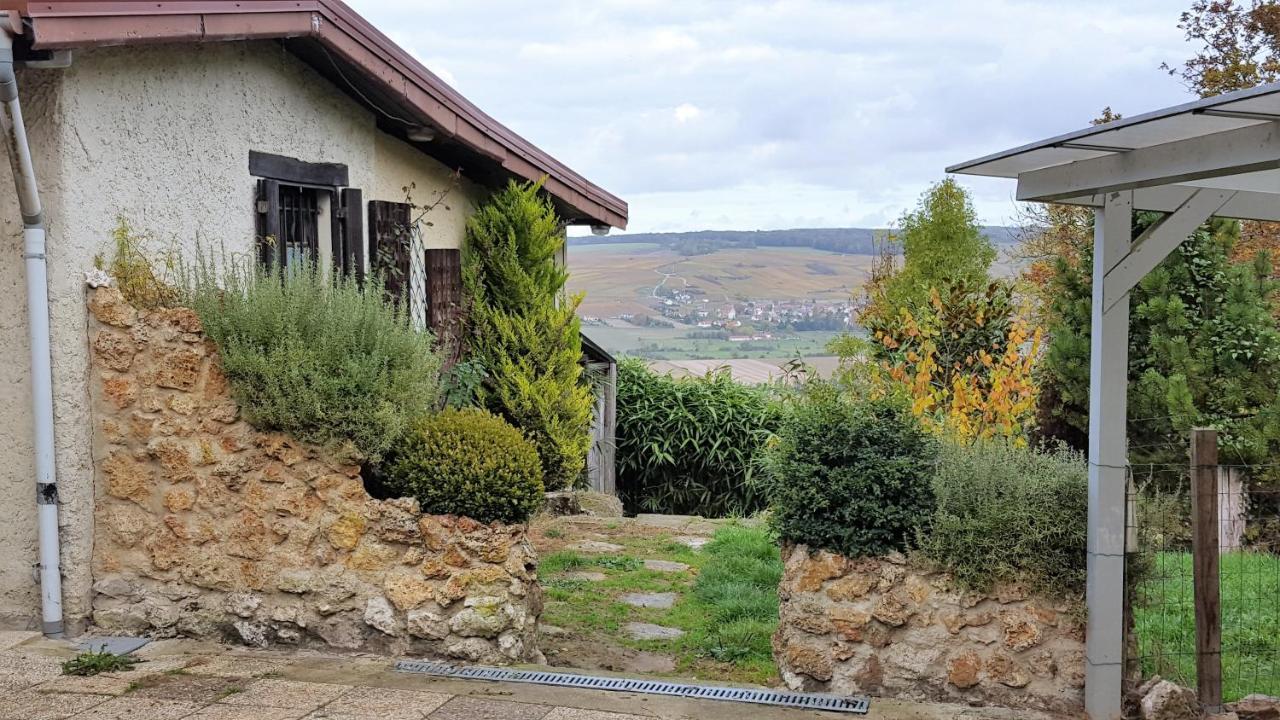 Le Coq De Champagne Dormans Exterior foto